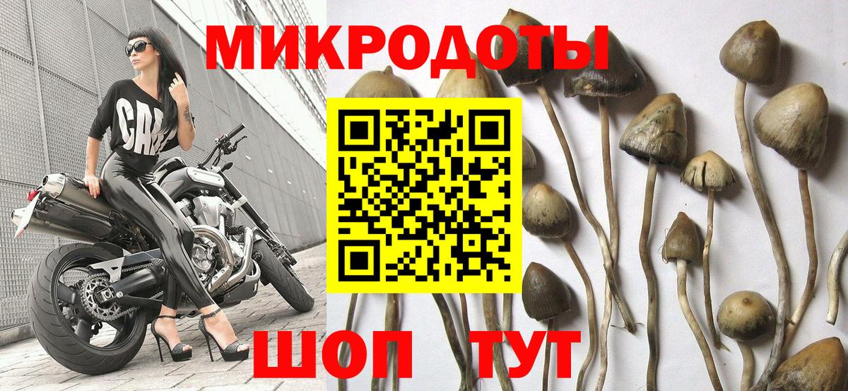 Галлюциногенные грибы ЛСД Бийск